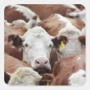 Suche nach tierkörperteil aufkleber Nahaufnahme