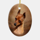 Suche nach pinscher ornamente Miniatur