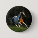 Suche nach läuft buttons Reiter