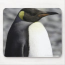Suche nach könig mousepads Tier