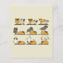 Suche nach liebhaber flyer Französische bulldogge