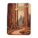 Suche nach sequoia magnete California
