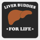 Suche nach organ aufkleber Überlebender