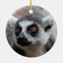 Suche nach lemur ornamente Madagaskar