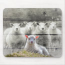 Suche nach flocken mousepads Lamm