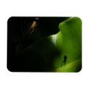 Suche nach spinne magnete Spinnenartige tiere