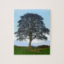 Suche nach laubsägen puzzle Foto