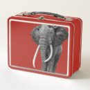 Suche nach afrikanische tiere brotdosen Tierwelt