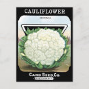 Suche nach gemüsegarten postkarten Vegan