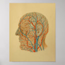 Suche nach hals poster Kopf