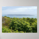 Suche nach sydney poster Natur