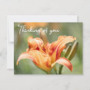 Suche nach denkt poster Blume