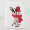 Suche nach chihuahua karten Weihnachtsmann