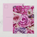 Suche nach weiße rose postkarten Rosa