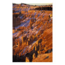 Suche nach utah herbst poster Natur