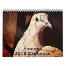 Suche nach taube kalender Vögel