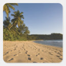 Suche nach seychellen aufkleber Tropisch