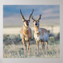Suche nach bureau poster Bureau of land management