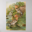 Suche nach friedrich poster Natur