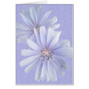 Suche nach cornflower postkarten Sommer