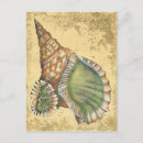 Suche nach grüner sand postkarten Natur