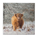 Suche nach rind kuh mousepads Landschaft