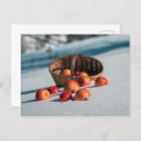 Suche nach apfel postkarten Schnee