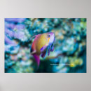 Suche nach kleiner fisch poster Elegant