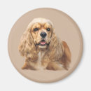 Suche nach cocker spaniel magnete Amerikanisch