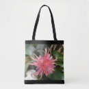 Suche nach bromeliad Blume
