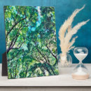 Suche nach baum fototafeln Natur