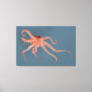 Suche nach octopus poster leinwandbilder Meerestier
