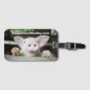 Suche nach schweinefleisch accessoires Schweinig