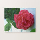 Suche nach weiße rosen puzzle Grau