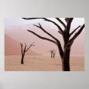 Suche nach barren poster Desert