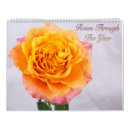 Suche nach rose kalender Quelle