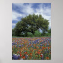 Suche nach wildflower painting poster Season