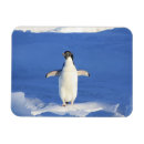 Suche nach lustiger pinguin magnete Tier