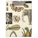 Suche nach rahmen klemmbrett Insekten