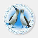 Suche nach galapagos magnete Inseln