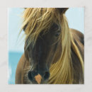 Suche nach wildes pferd einladungen Senf