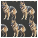 Suche nach haustiere in der stoffe Hund