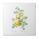 Suche nach pierre fliesen Blume