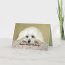 Suche nach verspätet karten Foto