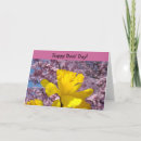 Suche nach für chef karten Boss