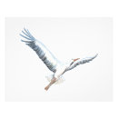 Suche nach storch poster Flügel