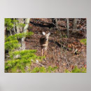 Suche nach reh poster Landschaft