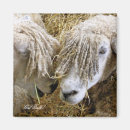 Suche nach schuh magnete Tiere