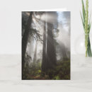 Suche nach califórnia karten Rotholzpark