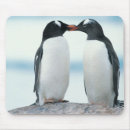 Suche nach schnabel mousepads Natur